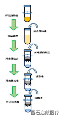 外泌体检测实验